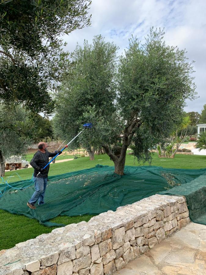 Villa Moresca Dei Trulli Fernando أوستوني المظهر الخارجي الصورة