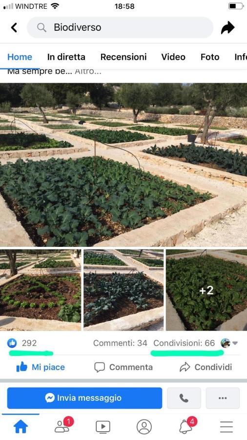 Villa Moresca Dei Trulli Fernando أوستوني المظهر الخارجي الصورة