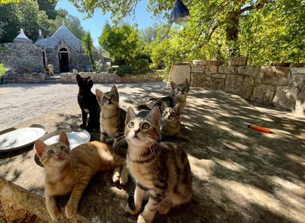 Villa Moresca Dei Trulli Fernando أوستوني المظهر الخارجي الصورة